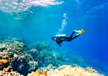 PADI OWD – An Open Water Diving Course for Beginners